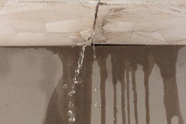Professional Structural Drying technician working in The Colony, TX